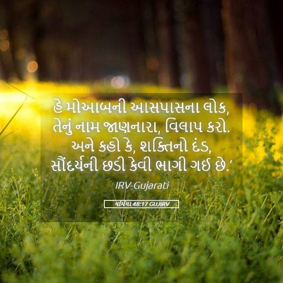 Picture 05 - યર્મિયા 48:17 GUJIRV - હે મોઆબની આસપાસના - Bible Verse Picture