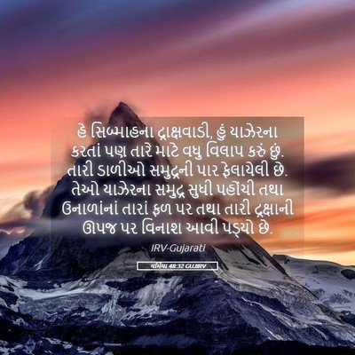 Picture 05 - યર્મિયા 48:32 GUJIRV - હે સિબ્માહના - Bible Verse Picture