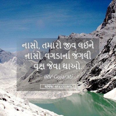 Picture 05 - યર્મિયા 48:6 GUJIRV - નાસો, તમારો જીવ - Bible Verse Picture