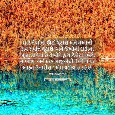 Picture 05 - યર્મિયા 49:32 GUJIRV - માટે તેઓનાં ઊંટો - Bible Verse Picture