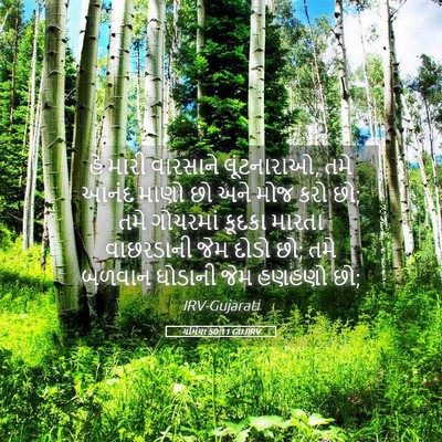 Picture 05 - યર્મિયા 50:11 GUJIRV - હે મારી વારસાને - Bible Verse Picture