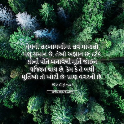 Picture 05 - યર્મિયા 51:17 GUJIRV - તેમની સરખામણીમાં - Bible Verse Picture