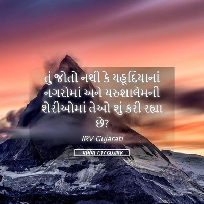 Picture 05 - યર્મિયા 7:17 GUJIRV - તું જોતો નથી કે - Bible Verse Picture