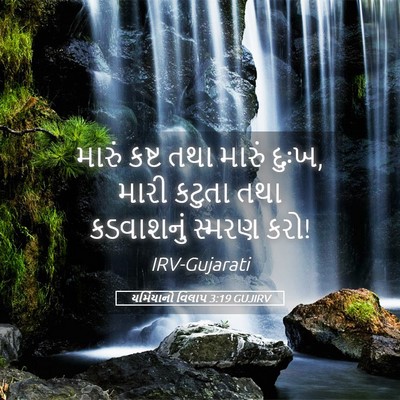 Picture 05 - યર્મિયાનો વિલાપ 3:19 GUJIRV - મારું કષ્ટ તથા - Bible Verse Picture
