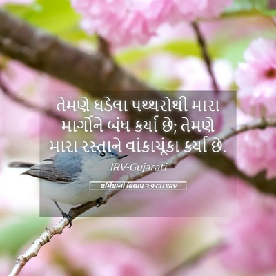 Picture 05 - યર્મિયાનો વિલાપ 3:9 GUJIRV - તેમણે ઘડેલા - Bible Verse Picture