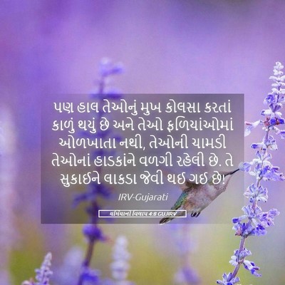 Picture 05 - યર્મિયાનો વિલાપ 4:8 GUJIRV - પણ હાલ તેઓનું મુખ - Bible Verse Picture