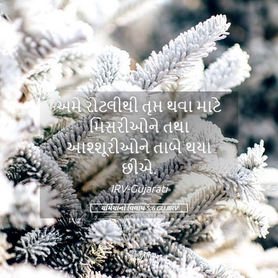Picture 05 - યર્મિયાનો વિલાપ 5:6 GUJIRV - અમે રોટલીથી તૃપ્ત - Bible Verse Picture