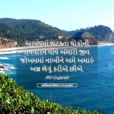 Picture 05 - યર્મિયાનો વિલાપ 5:9 GUJIRV - અરણ્યમાં ભટકતા - Bible Verse Picture