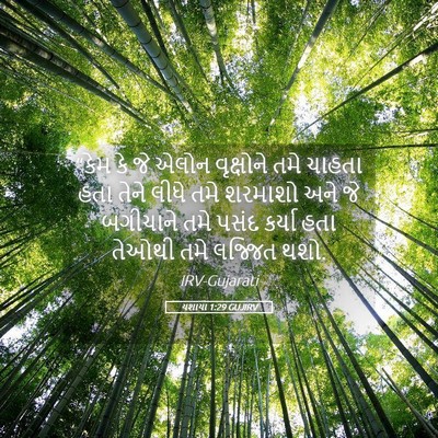 Picture 05 - યશાયા 1:29 GUJIRV - “કેમ કે જે એલોન - Bible Verse Picture