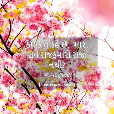 Picture 05 - યશાયા 10:8 GUJIRV - કેમ કે તે કહે છે, - Bible Verse Picture