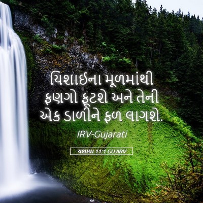 Picture 05 - યશાયા 11:1 GUJIRV - યિશાઈના મૂળમાંથી - Bible Verse Picture