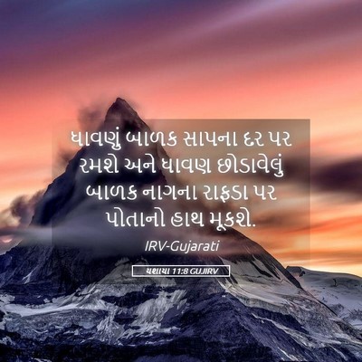 Picture 05 - યશાયા 11:8 GUJIRV - ધાવણું બાળક સાપના - Bible Verse Picture