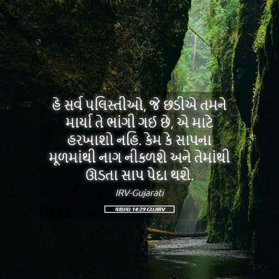 Picture 05 - યશાયા 14:29 GUJIRV - હે સર્વ પલિસ્તીઓ, - Bible Verse Picture
