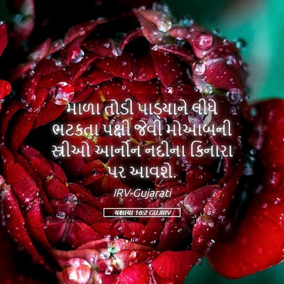 Picture 05 - યશાયા 16:2 GUJIRV - માળા તોડી - Bible Verse Picture