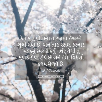Picture 05 - યશાયા 17:10 GUJIRV - કેમ કે તું પોતાના - Bible Verse Picture