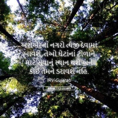 Picture 05 - યશાયા 17:2 GUJIRV - અરોએરનાં નગરો - Bible Verse Picture
