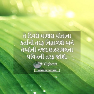 Picture 05 - યશાયા 17:7 GUJIRV - તે દિવસે માણસ - Bible Verse Picture