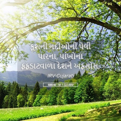 Picture 05 - યશાયા 18:1 GUJIRV - કૂશની નદીઓની પેલી - Bible Verse Picture
