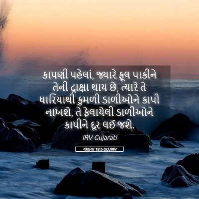Picture 05 - યશાયા 18:5 GUJIRV - કાપણી પહેલાં, - Bible Verse Picture
