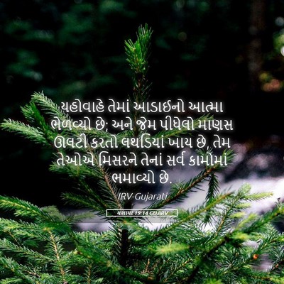 Picture 05 - યશાયા 19:14 GUJIRV - યહોવાહે તેમાં - Bible Verse Picture