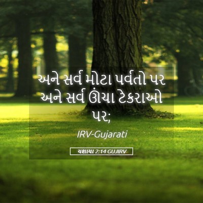 Picture 05 - યશાયા 2:14 GUJIRV - અને સર્વ મોટા - Bible Verse Picture