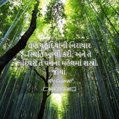Picture 05 - યશાયા 22:8 GUJIRV - તેણે યહૂદિયાની - Bible Verse Picture