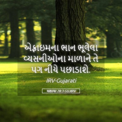 Picture 05 - યશાયા 28:3 GUJIRV - એફ્રાઇમના ભાન - Bible Verse Picture