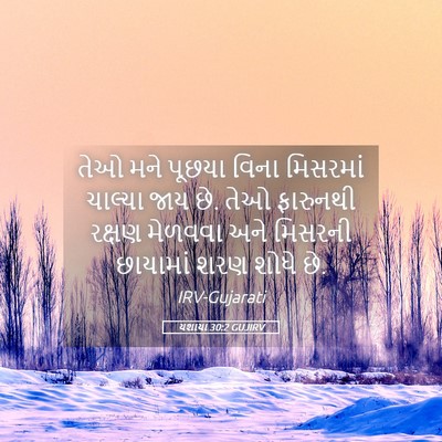 Picture 05 - યશાયા 30:2 GUJIRV - તેઓ મને પૂછયા વિના - Bible Verse Picture