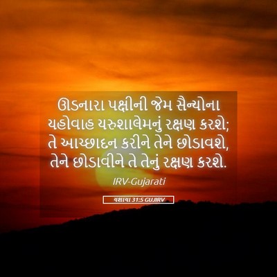 Picture 05 - યશાયા 31:5 GUJIRV - ઊડનારા પક્ષીની - Bible Verse Picture