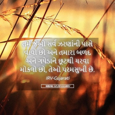 Picture 05 - યશાયા 32:20 GUJIRV - તમે જેઓ સર્વ - Bible Verse Picture