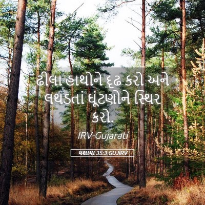 Picture 05 - યશાયા 35:3 GUJIRV - ઢીલા હાથોને દૃઢ - Bible Verse Picture