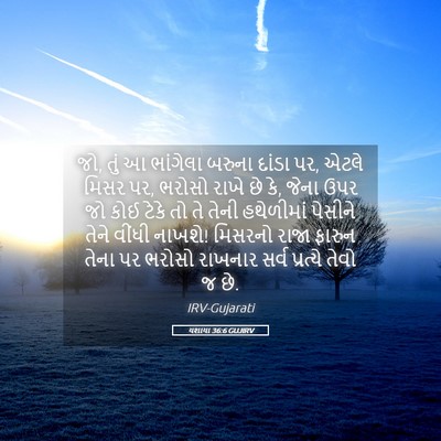 Picture 05 - યશાયા 36:6 GUJIRV - જો, તું આ ભાંગેલા - Bible Verse Picture