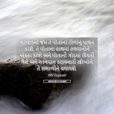 Picture 05 - યશાયા 40:11 GUJIRV - ભરવાડની જેમ તે - Bible Verse Picture