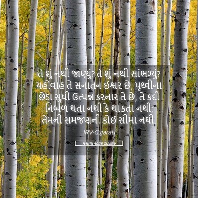 Picture 05 - યશાયા 40:28 GUJIRV - તે શું નથી જાણ્યું? - Bible Verse Picture