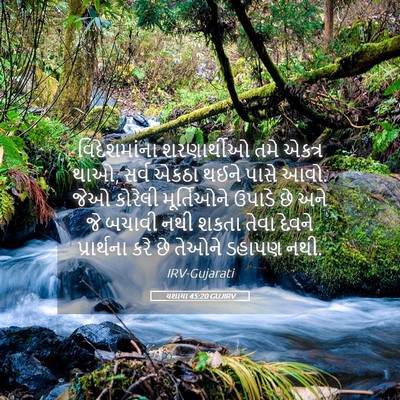 Picture 05 - યશાયા 45:20 GUJIRV - વિદેશમાંના - Bible Verse Picture