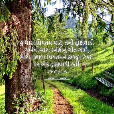 Picture 05 - યશાયા 5:1 GUJIRV - હું મારા પ્રિયતમ - Bible Verse Picture