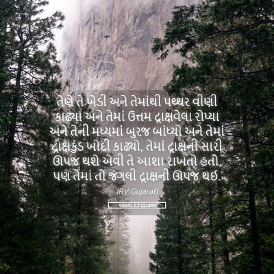 Picture 05 - યશાયા 5:2 GUJIRV - તેણે તે ખેડી અને - Bible Verse Picture