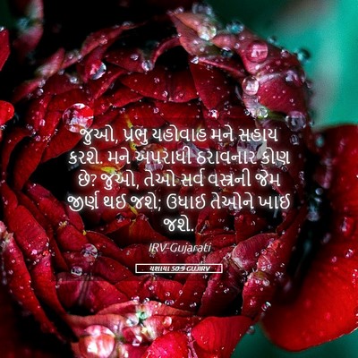 Picture 05 - યશાયા 50:9 GUJIRV - જુઓ, પ્રભુ યહોવાહ - Bible Verse Picture