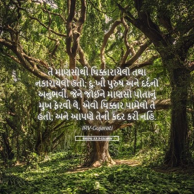 Picture 05 - યશાયા 53:3 GUJIRV - તે માણસોથી - Bible Verse Picture
