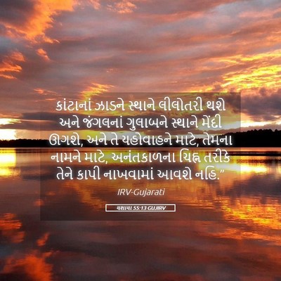 Picture 05 - યશાયા 55:13 GUJIRV - કાંટાનાં ઝાડને - Bible Verse Picture