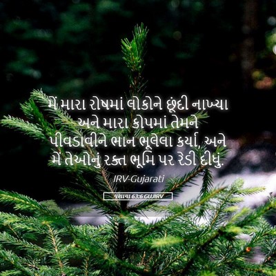 Picture 05 - યશાયા 63:6 GUJIRV - મેં મારા રોષમાં - Bible Verse Picture