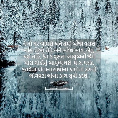 Picture 05 - યશાયા 65:22 GUJIRV - તેઓ ઘર બાંધશે અને - Bible Verse Picture