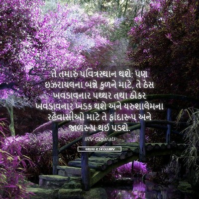 Picture 05 - યશાયા 8:14 GUJIRV - તે તમારું - Bible Verse Picture