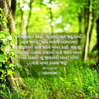 Picture 05 - યશાયા 8:19 GUJIRV - તેઓ તમને કહેશે, - Bible Verse Picture
