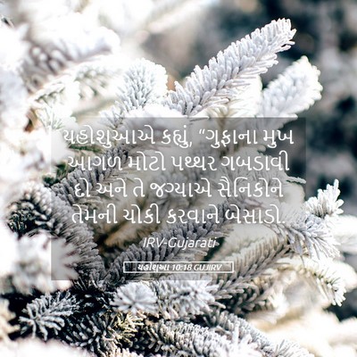 Picture 05 - યહોશુઆ 10:18 GUJIRV - યહોશુઆએ કહ્યું, - Bible Verse Picture