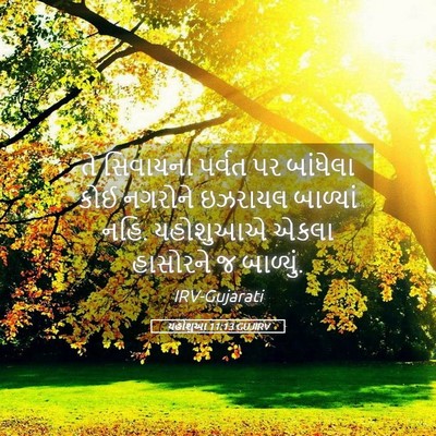 Picture 05 - યહોશુઆ 11:13 GUJIRV - તે સિવાયના પર્વત - Bible Verse Picture