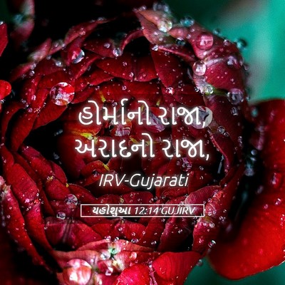 Picture 05 - યહોશુઆ 12:14 GUJIRV - હોર્માનો રાજા, - Bible Verse Picture