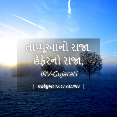Picture 05 - યહોશુઆ 12:17 GUJIRV - તાપ્પૂઆનો રાજા, - Bible Verse Picture