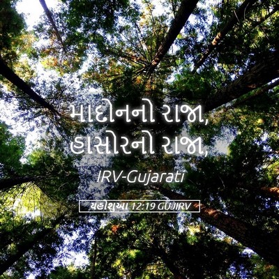 Picture 05 - યહોશુઆ 12:19 GUJIRV - માદોનનો રાજા, - Bible Verse Picture