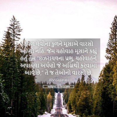Picture 05 - યહોશુઆ 13:14 GUJIRV - કેવળ લેવીના કુળને - Bible Verse Picture
